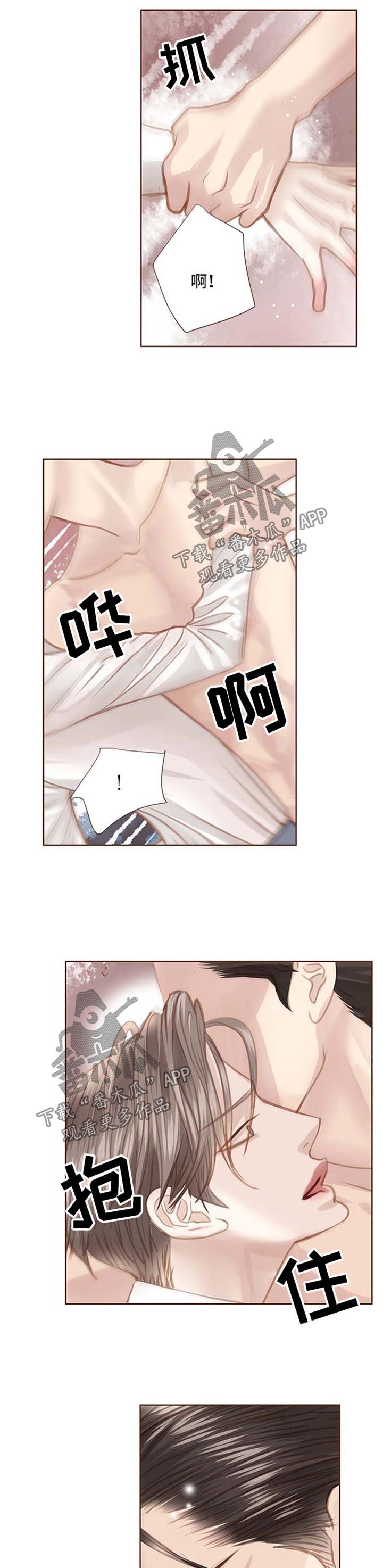 第73章：跟随自己的内心