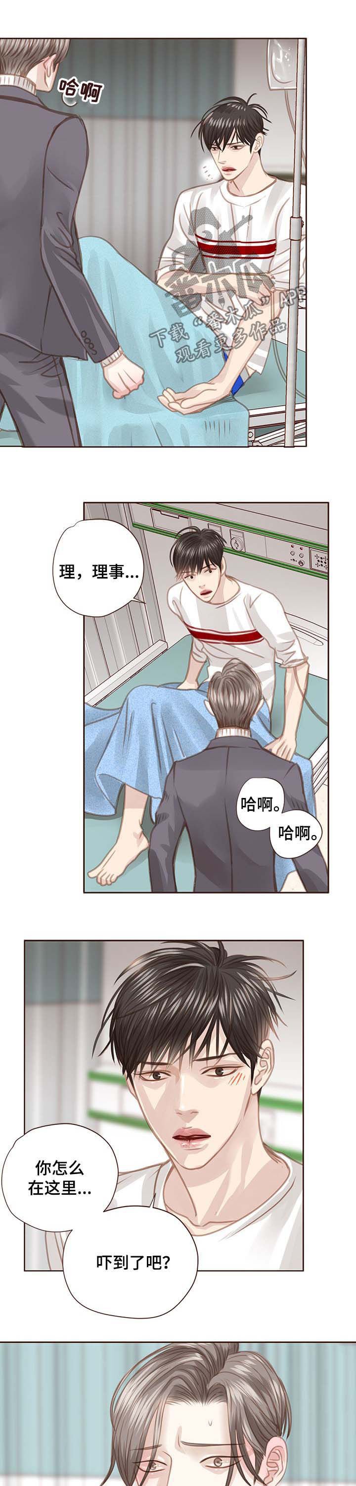 第84章：调查结果