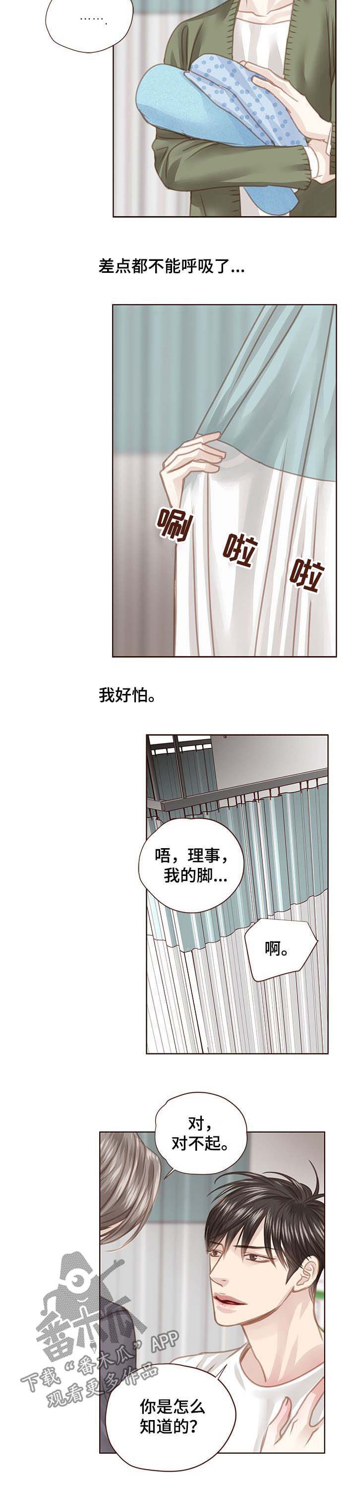 第84章：调查结果