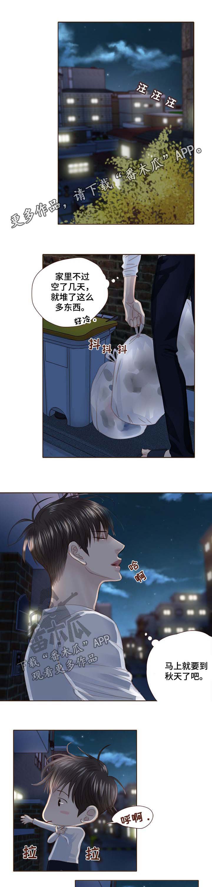 第94章：正面对决