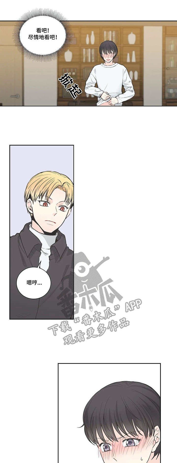 第12章：查看