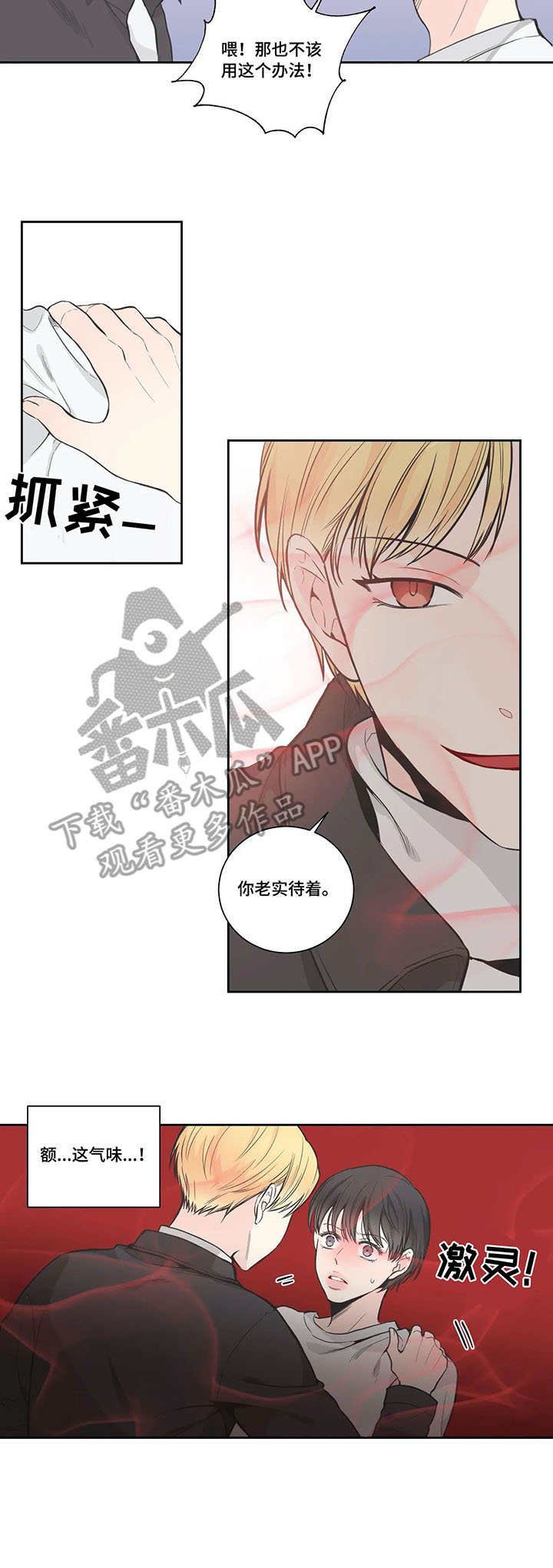 第12章：查看