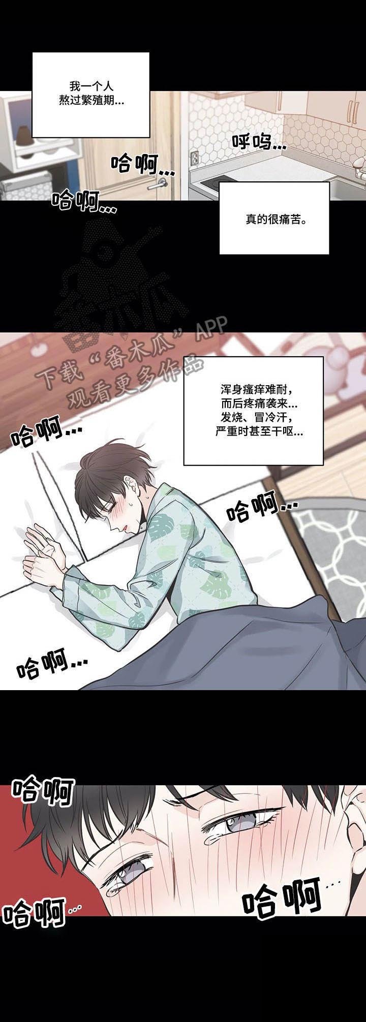 第35章：酒吧