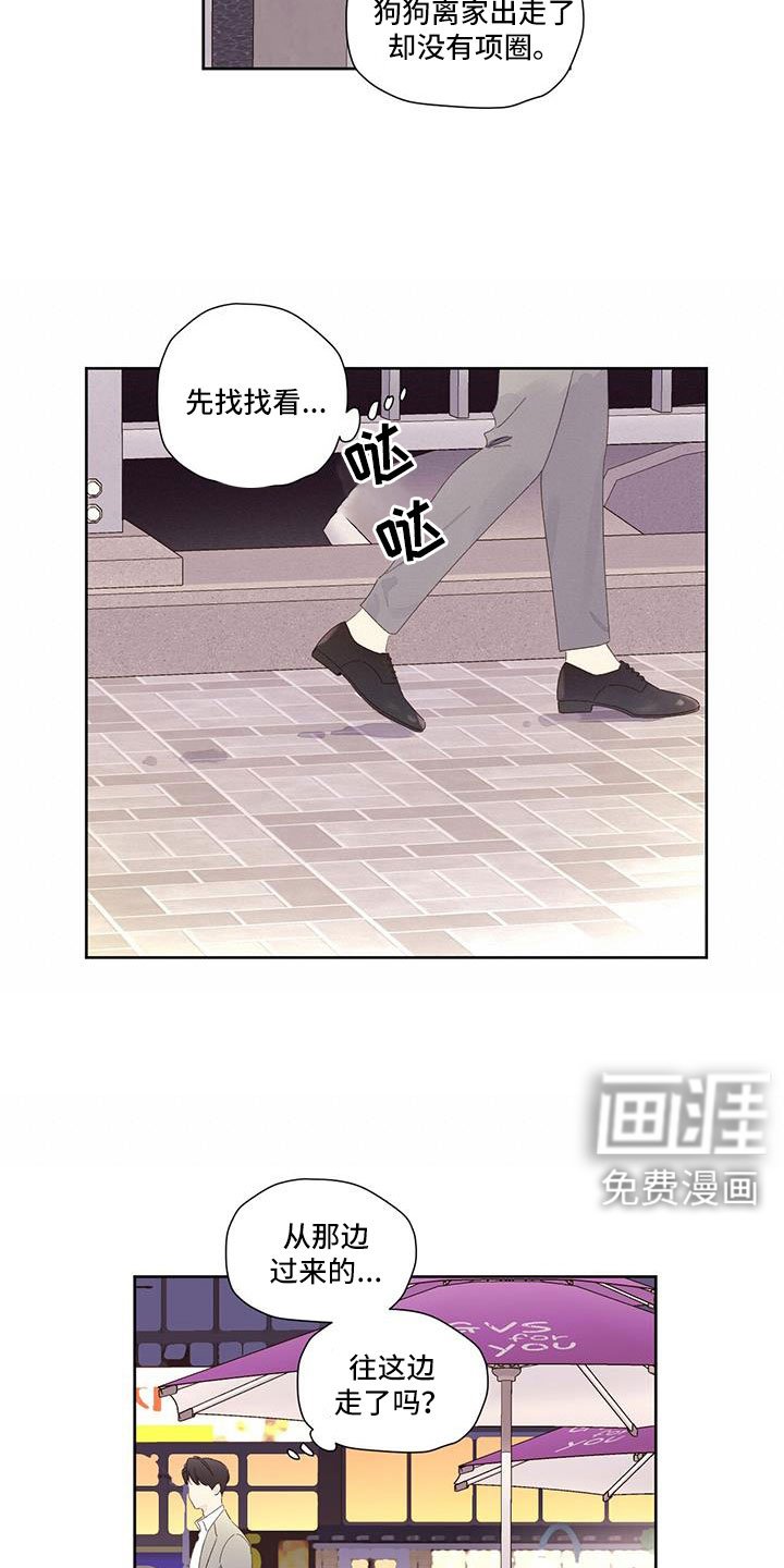 第123章：【第二季】没有项圈的狗