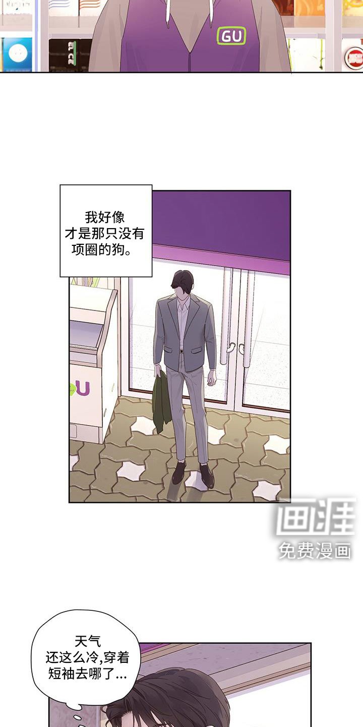 第123章：【第二季】没有项圈的狗