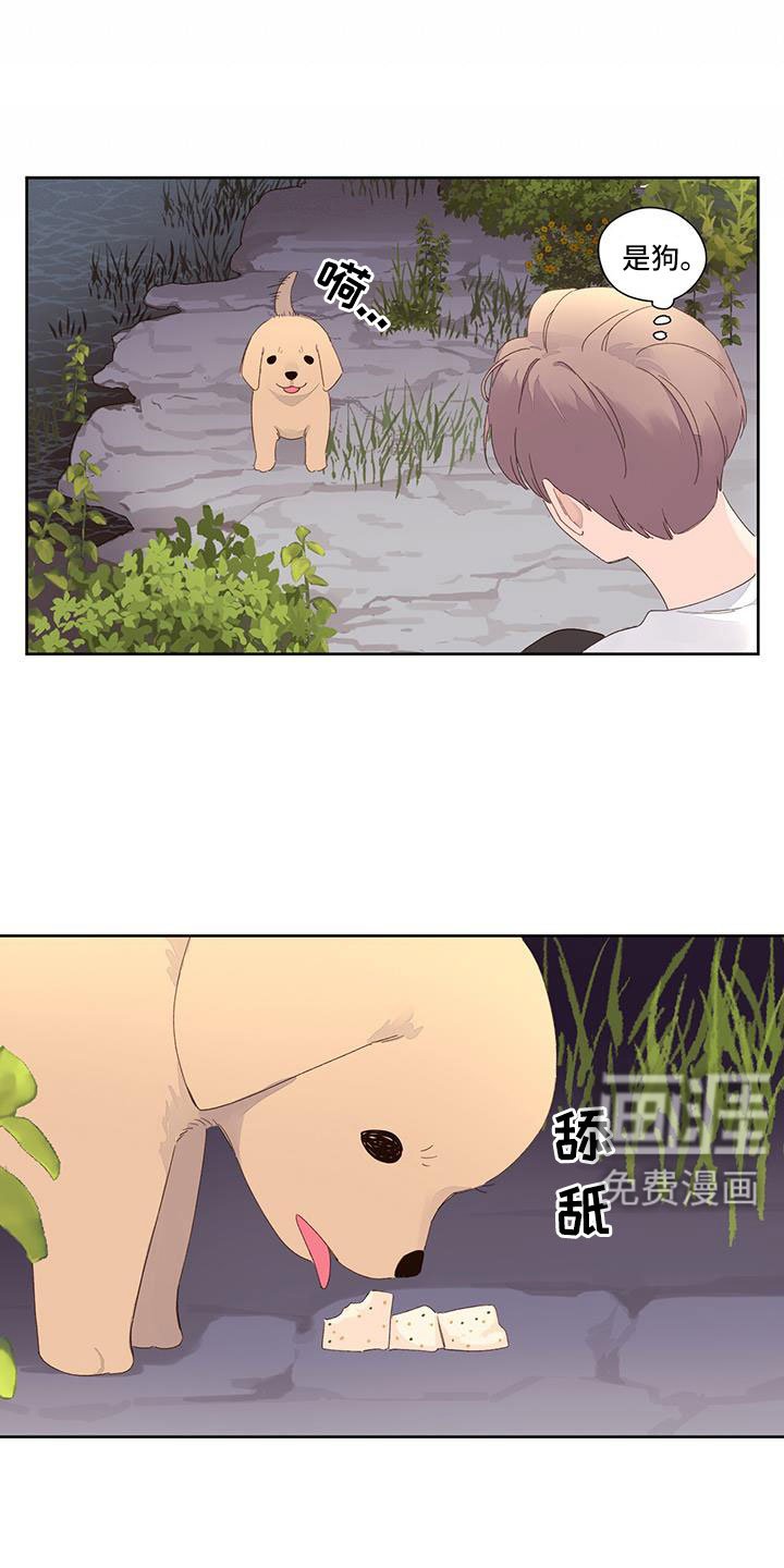 第123章：【第二季】没有项圈的狗