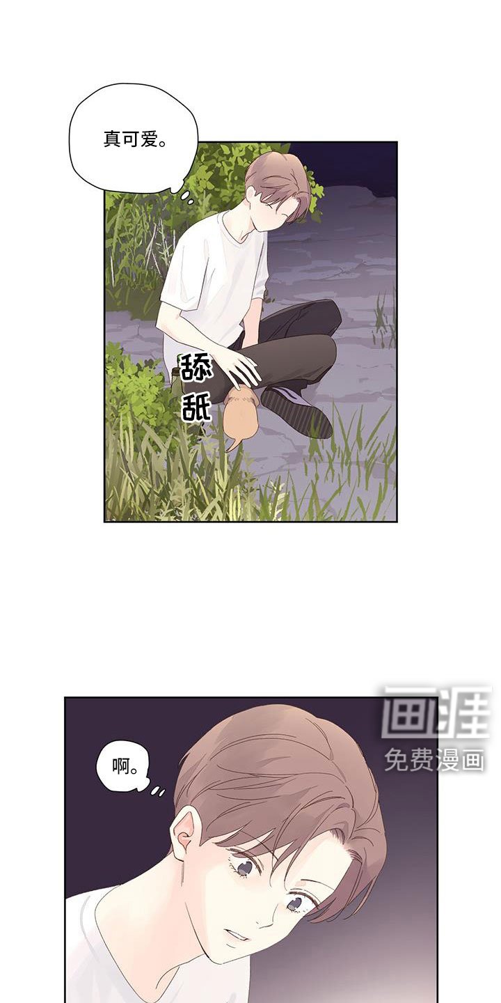 第123章：【第二季】没有项圈的狗