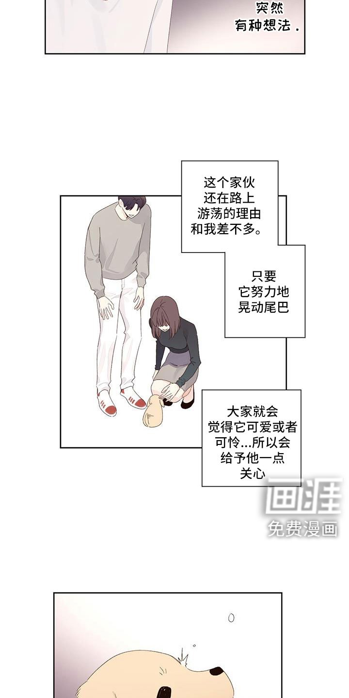第123章：【第二季】没有项圈的狗