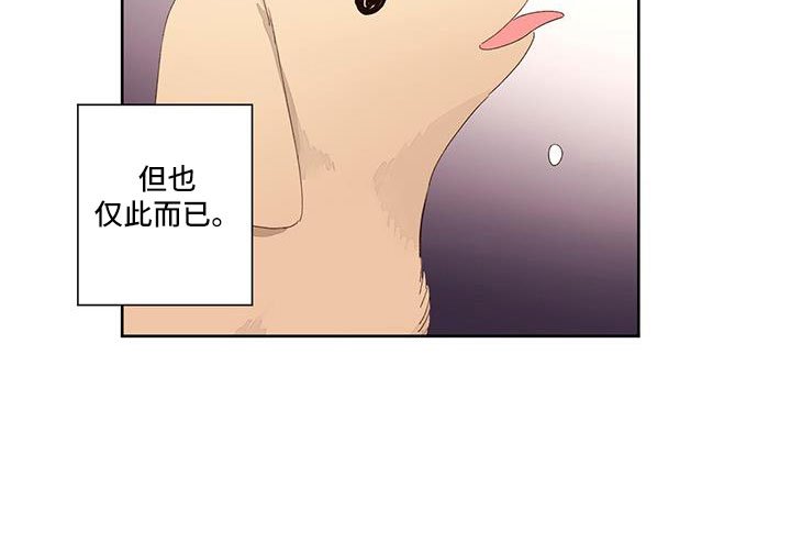 第123章：【第二季】没有项圈的狗