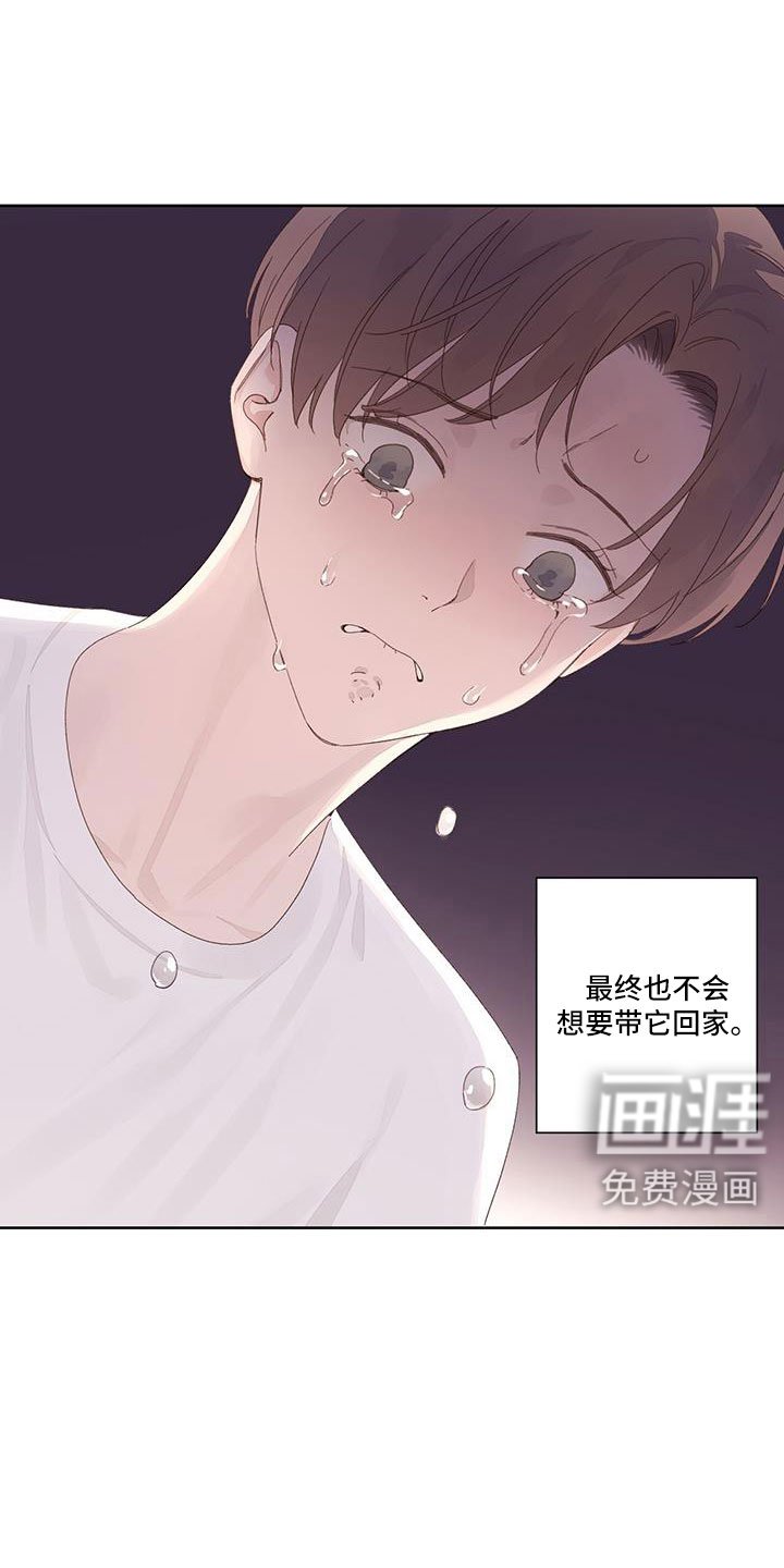 第123章：【第二季】没有项圈的狗