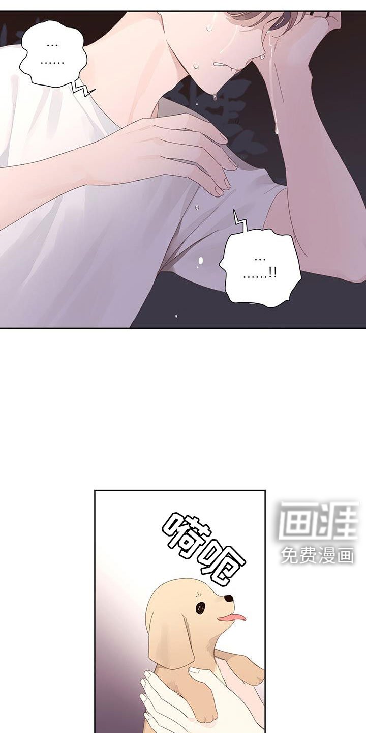 第123章：【第二季】没有项圈的狗
