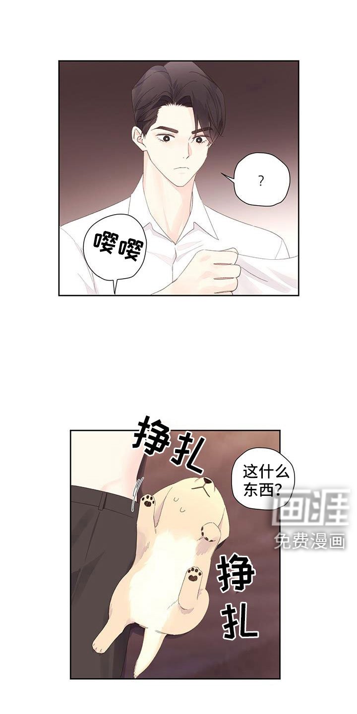 第125章：【第二季】真无语