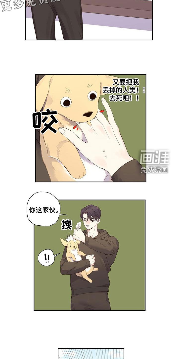 第140章：【第二季】负责到死