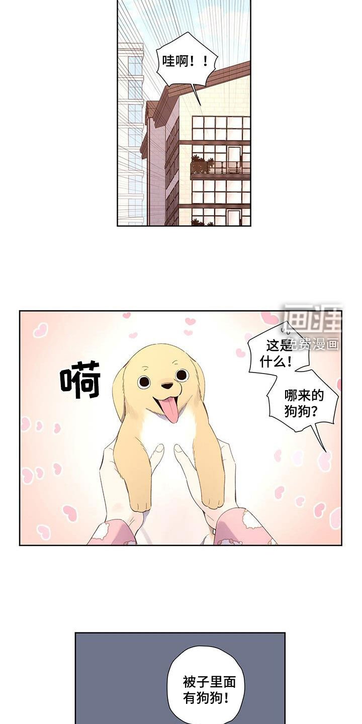 第140章：【第二季】负责到死
