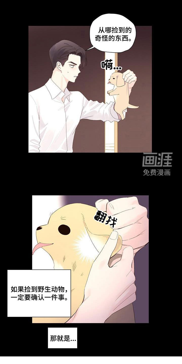 第140章：【第二季】负责到死
