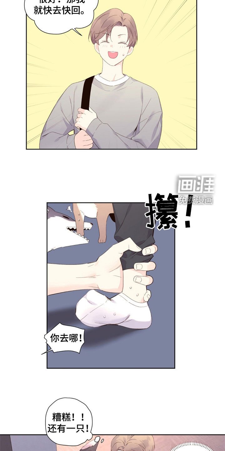 第142章：【第二季】丑小鸭