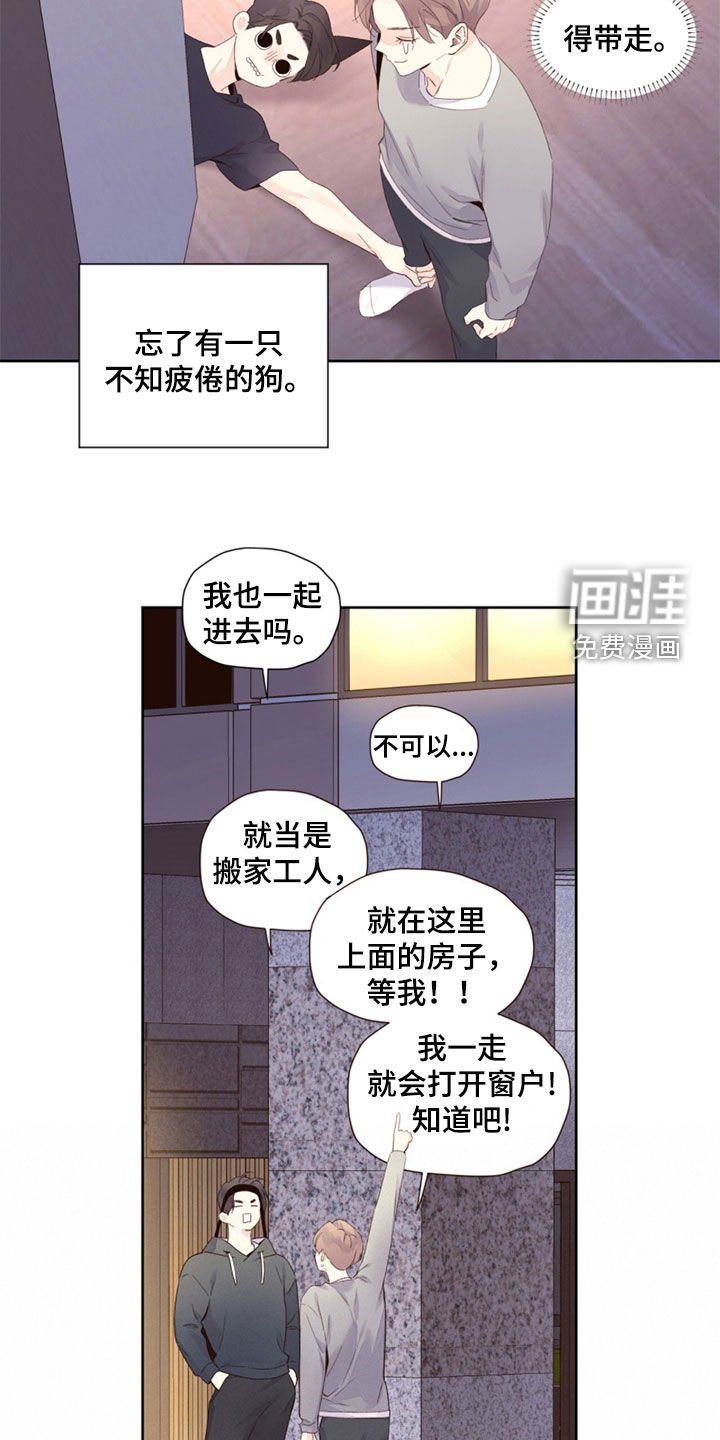第142章：【第二季】丑小鸭