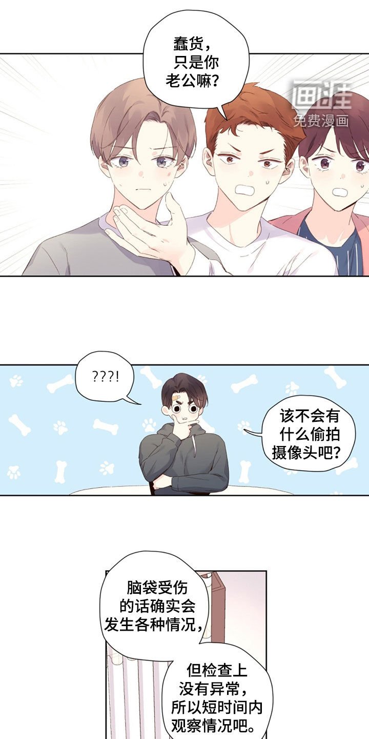 第146章：【第二季】泡胀的水饺