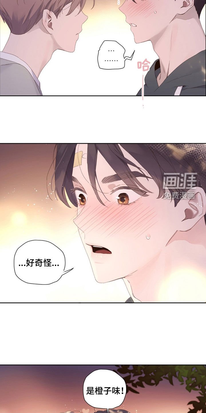第147章：【第二季】是橙子味