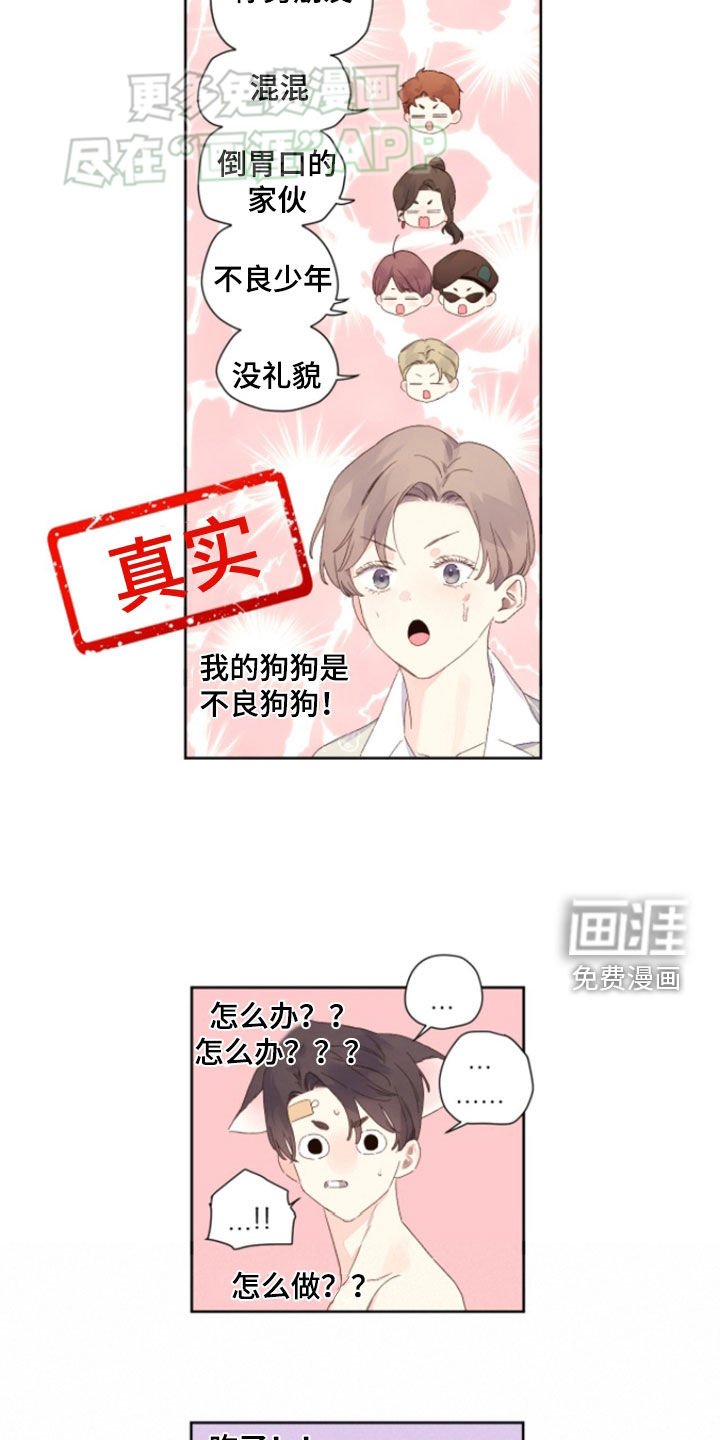 第154章：【第二季】不良狗狗