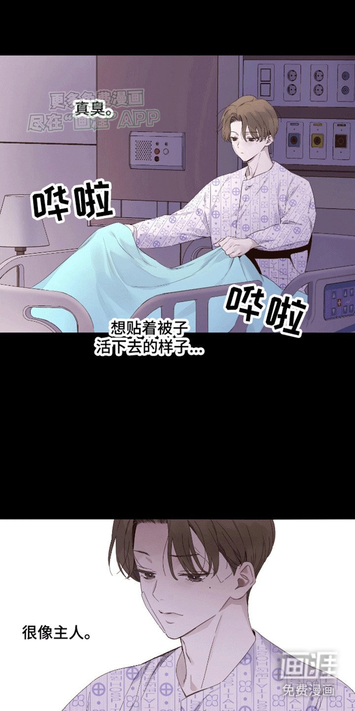 第159章：【第二季】我和爷爷一起生活