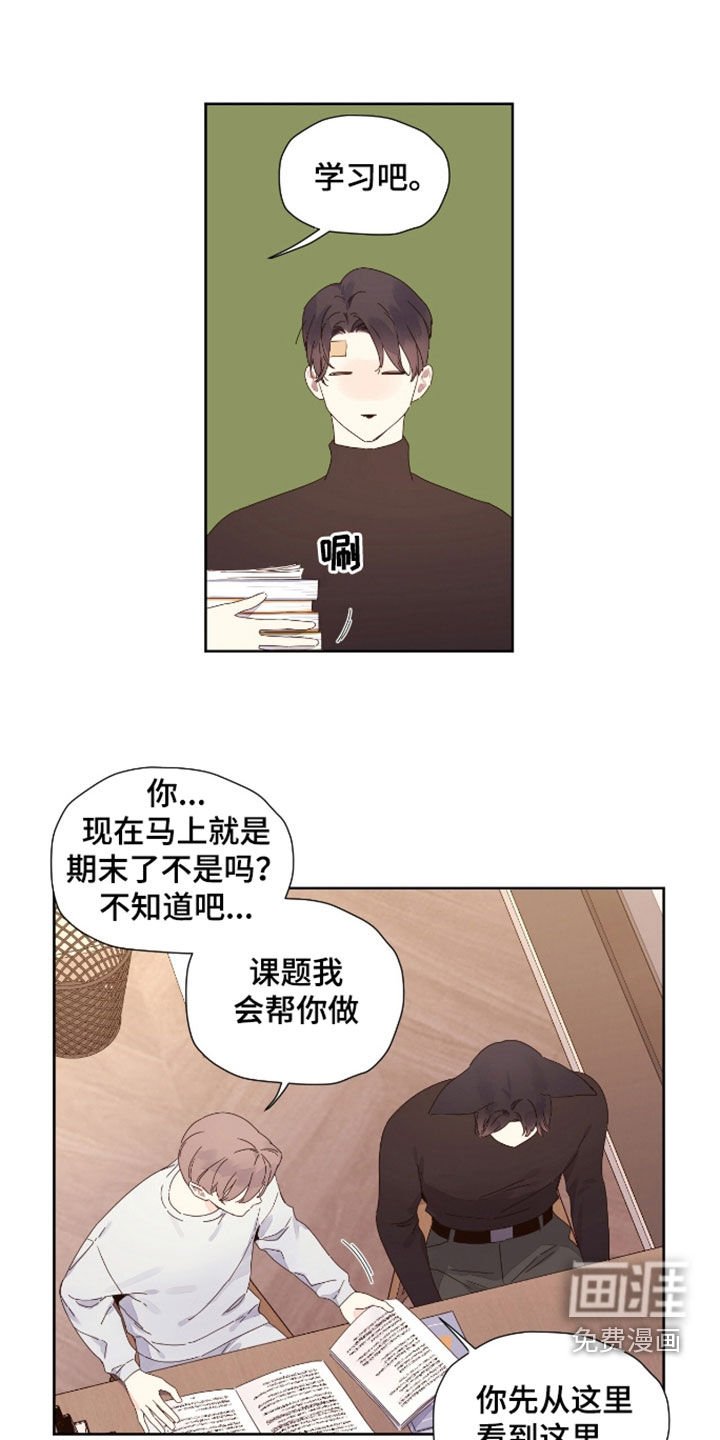 第163章：【第二季】甜枣