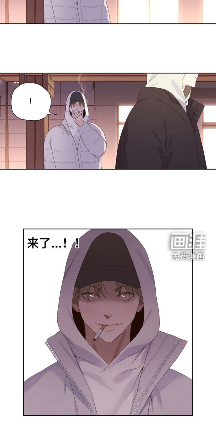 第170章：【第二季】善后