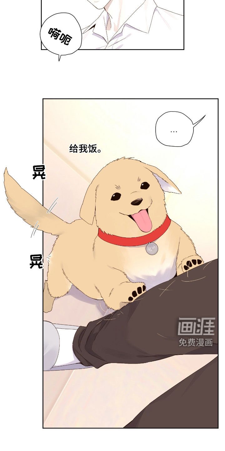 第181章：【第二季】这狗真特别