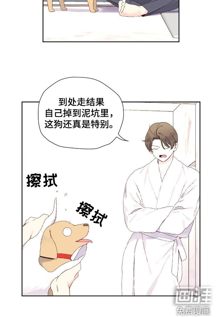 第181章：【第二季】这狗真特别