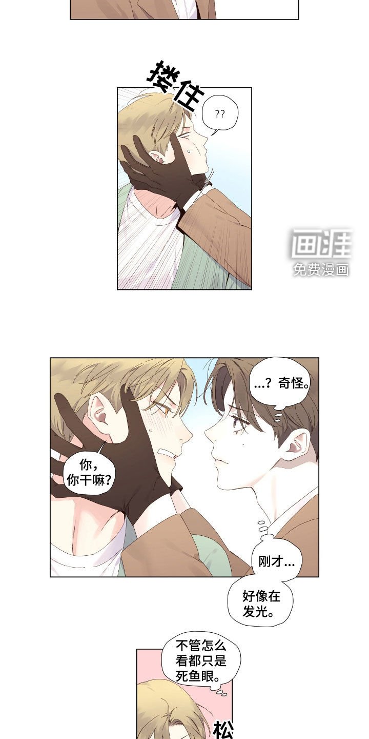 第186章：【第二季】发光的东西