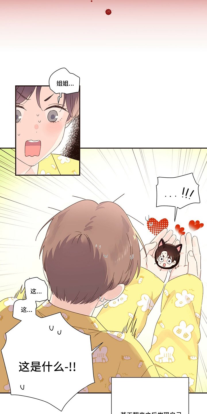 第59章：【特别篇】玩偶