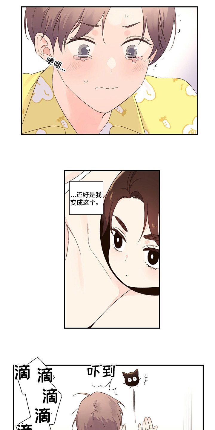 第59章：【特别篇】玩偶