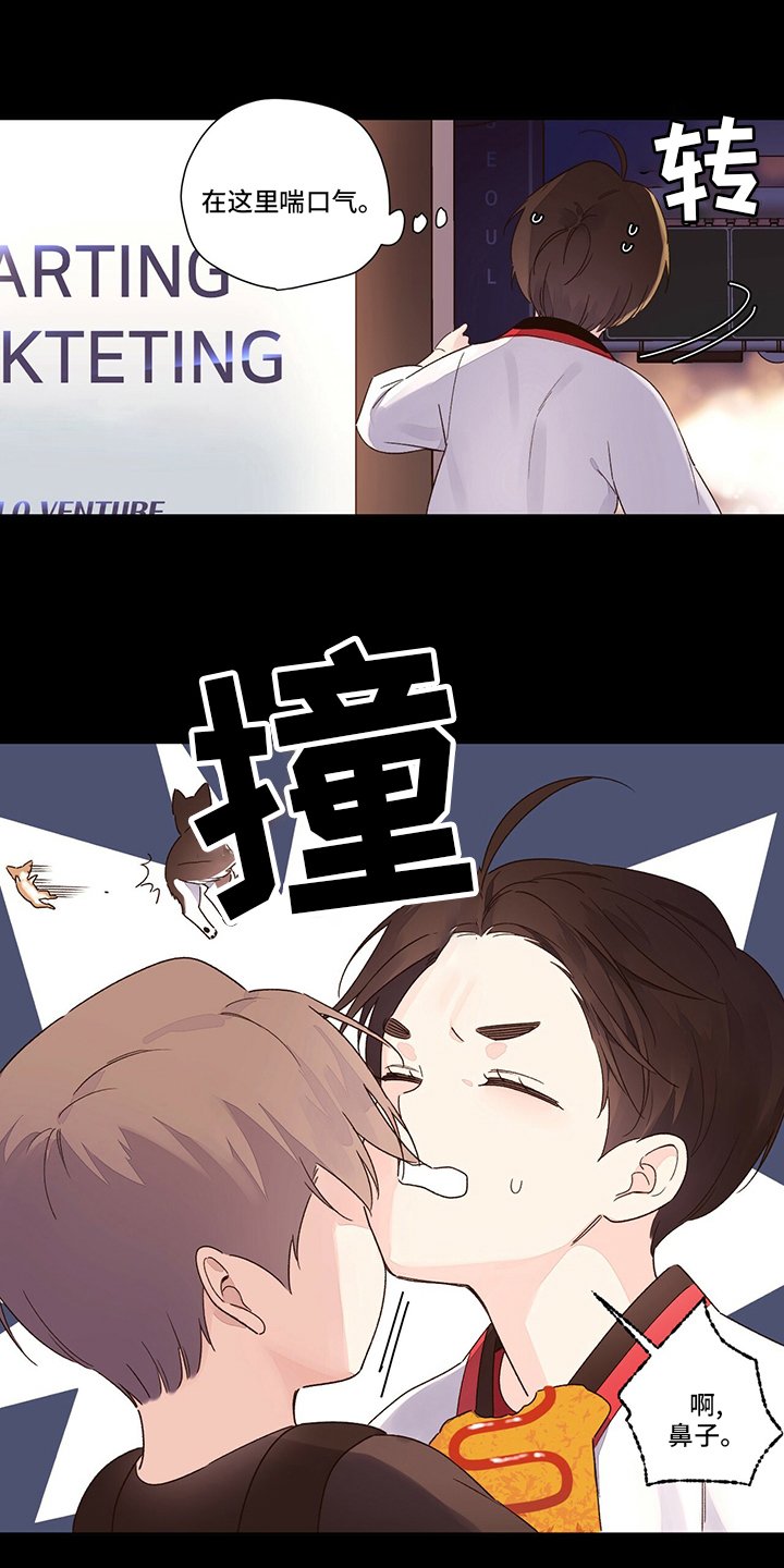 第60章：【特别篇】齐瓦瓦狗