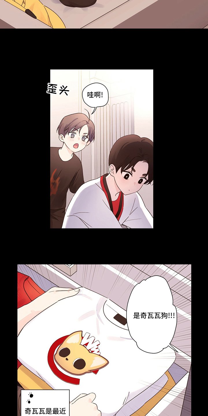 第60章：【特别篇】齐瓦瓦狗