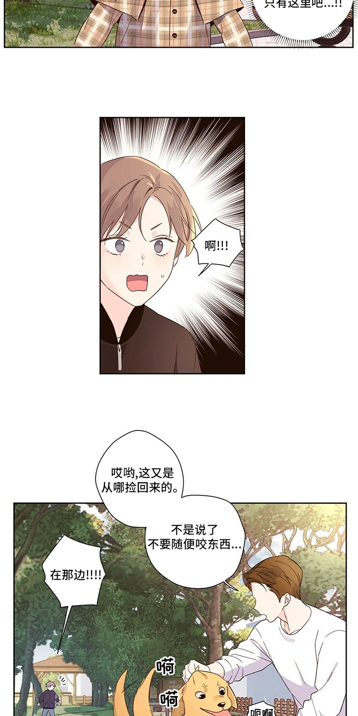 第62章：【特别篇】变回来了