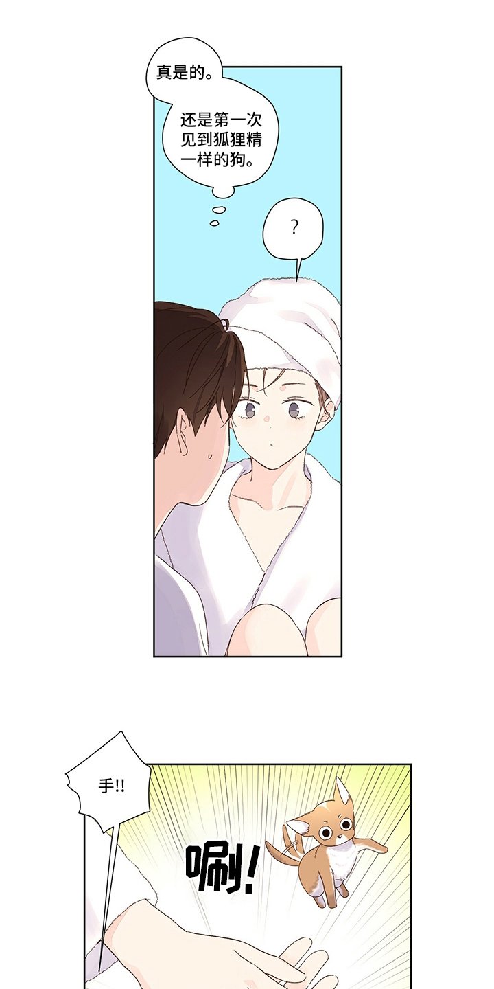 第71章：别墅