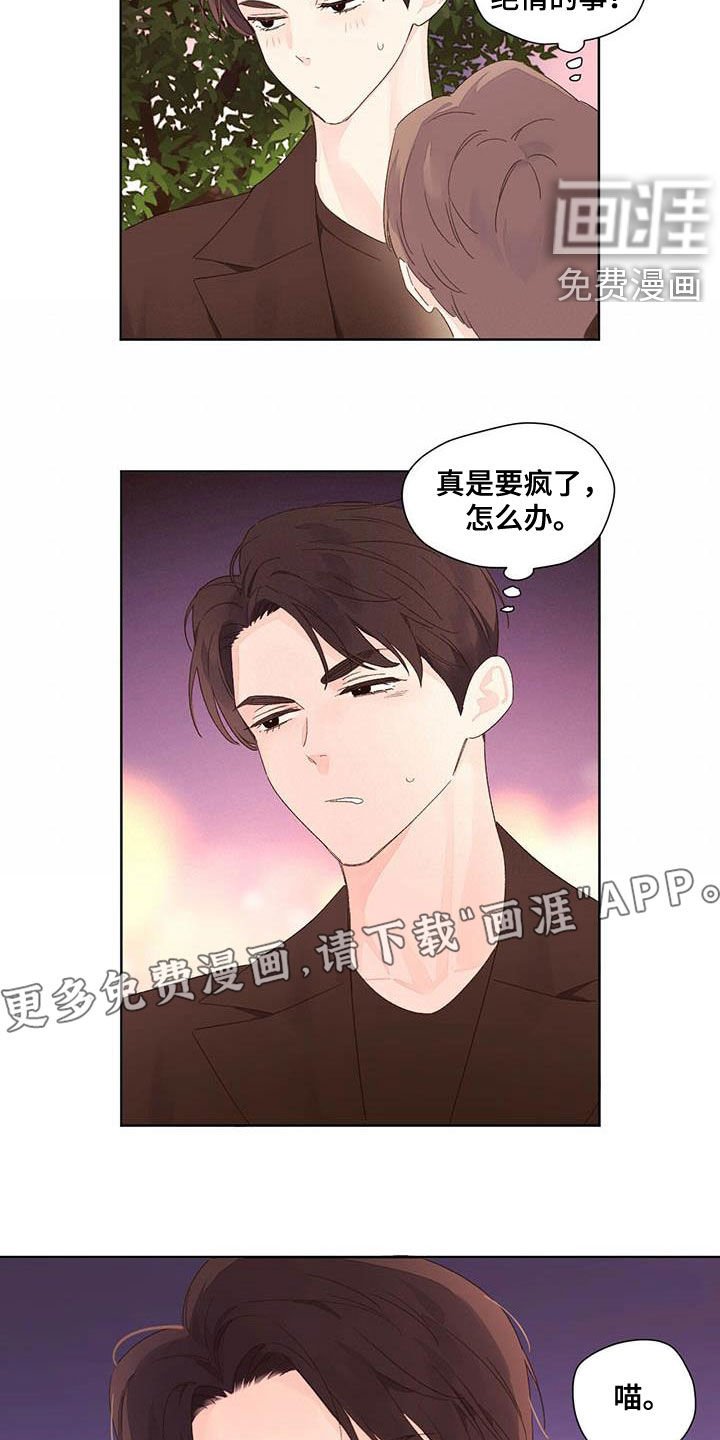 第88章：容忍