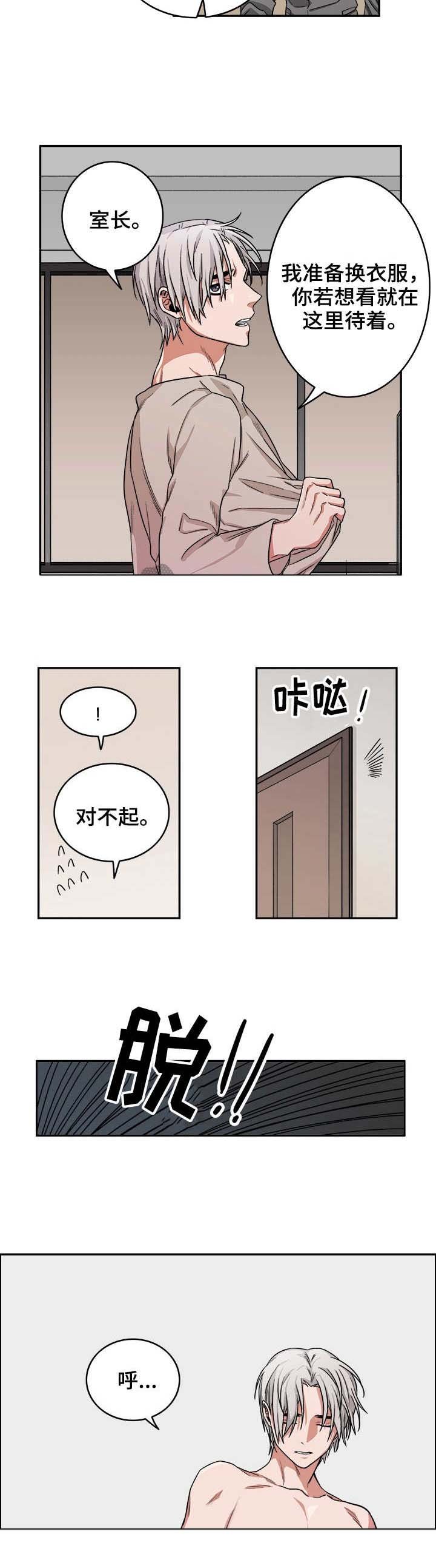 第12章：毒蛇