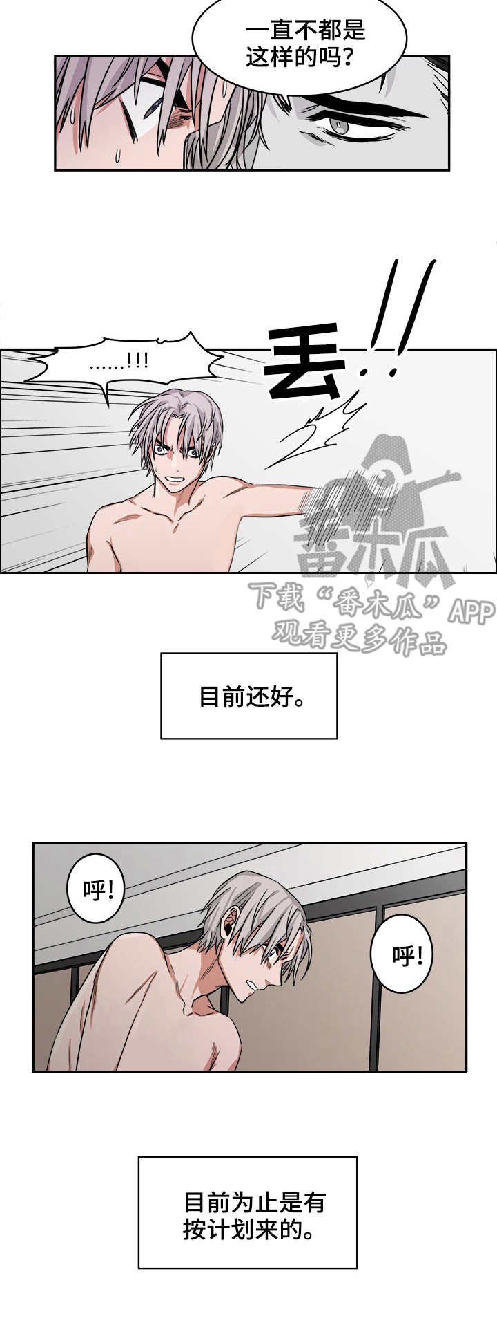 第12章：毒蛇