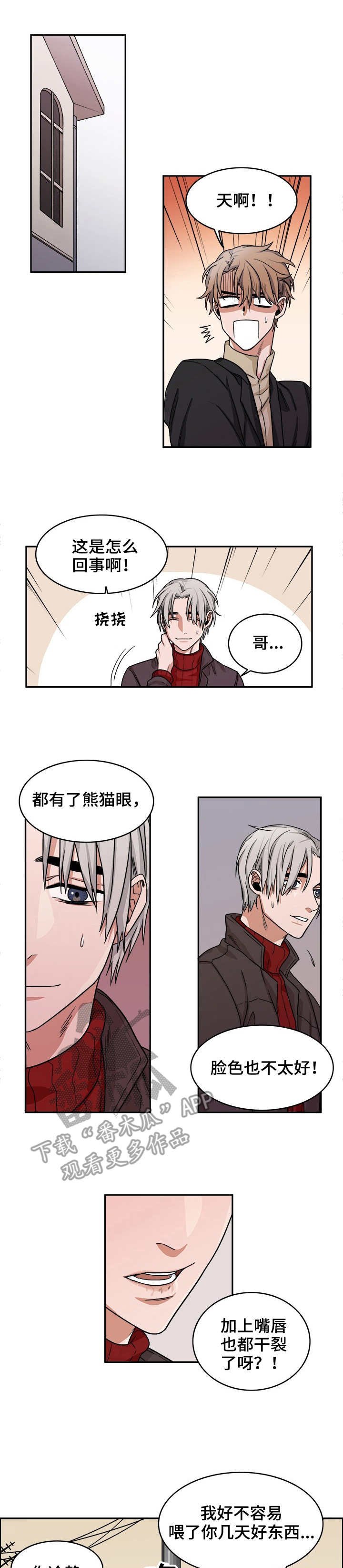 第13章：规则