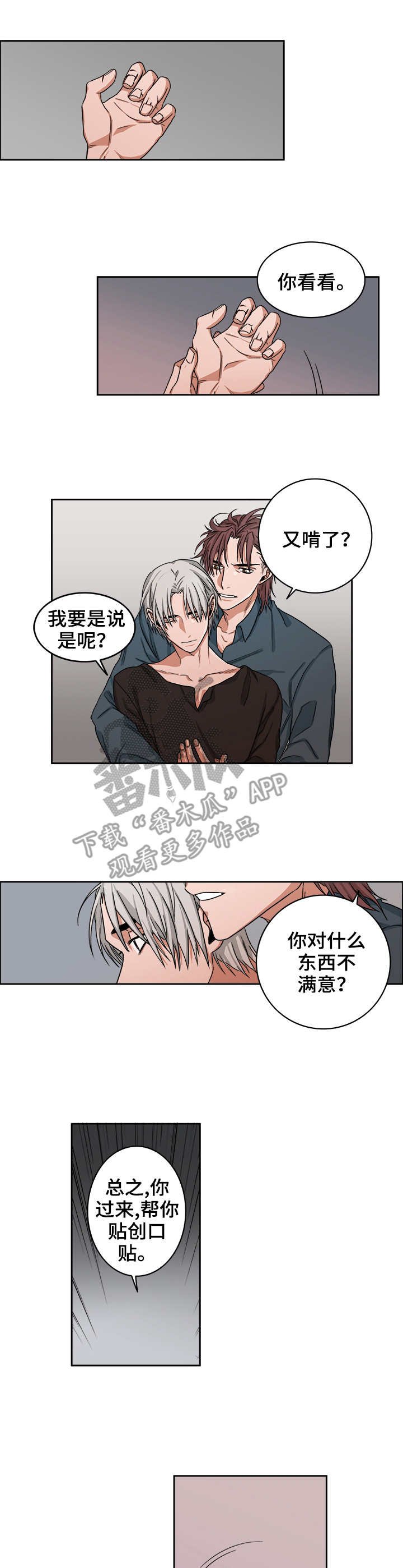第26章：暴力