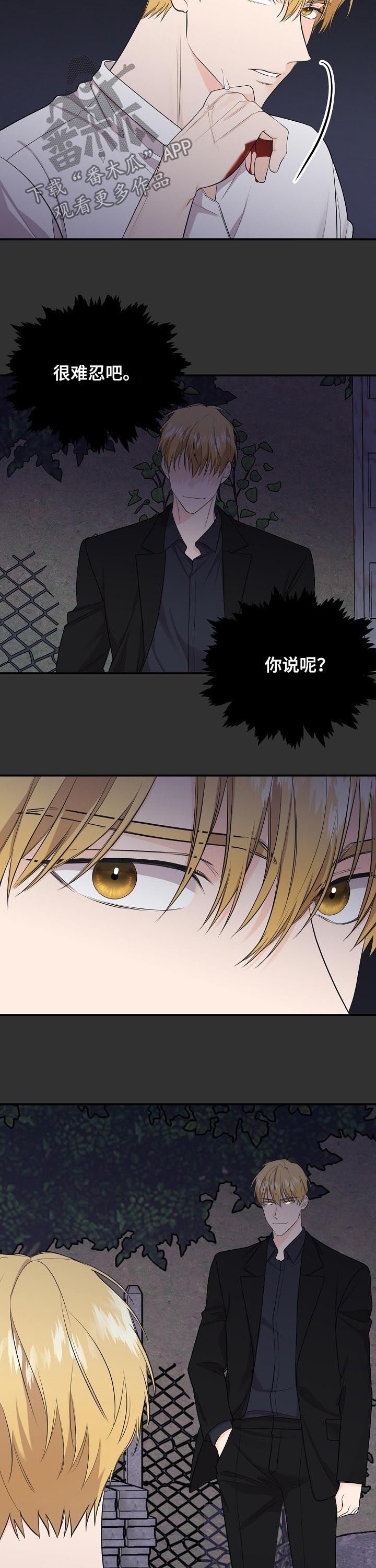 第74章：【第二季】消失