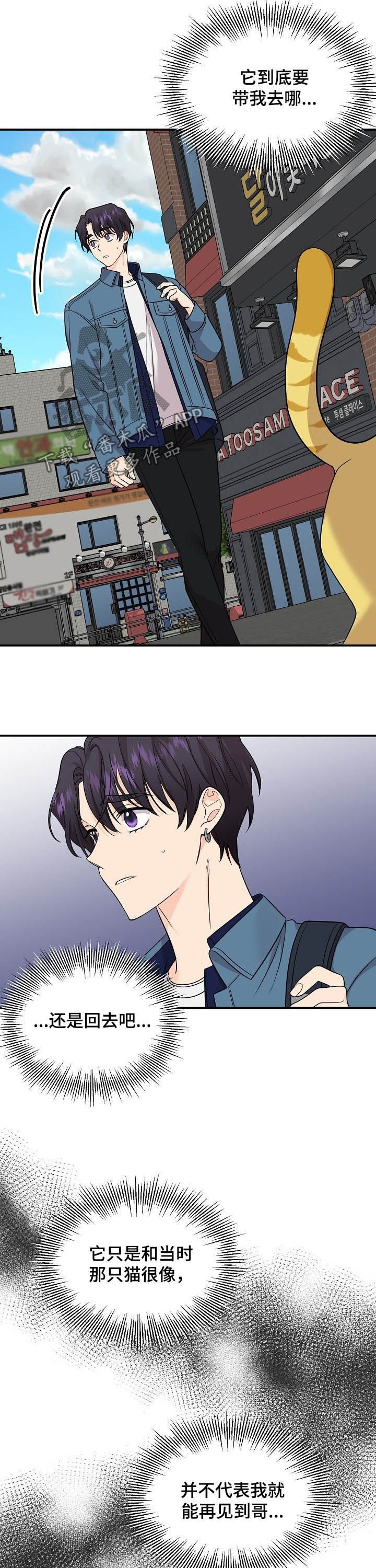 第82章：【第二季】引路人