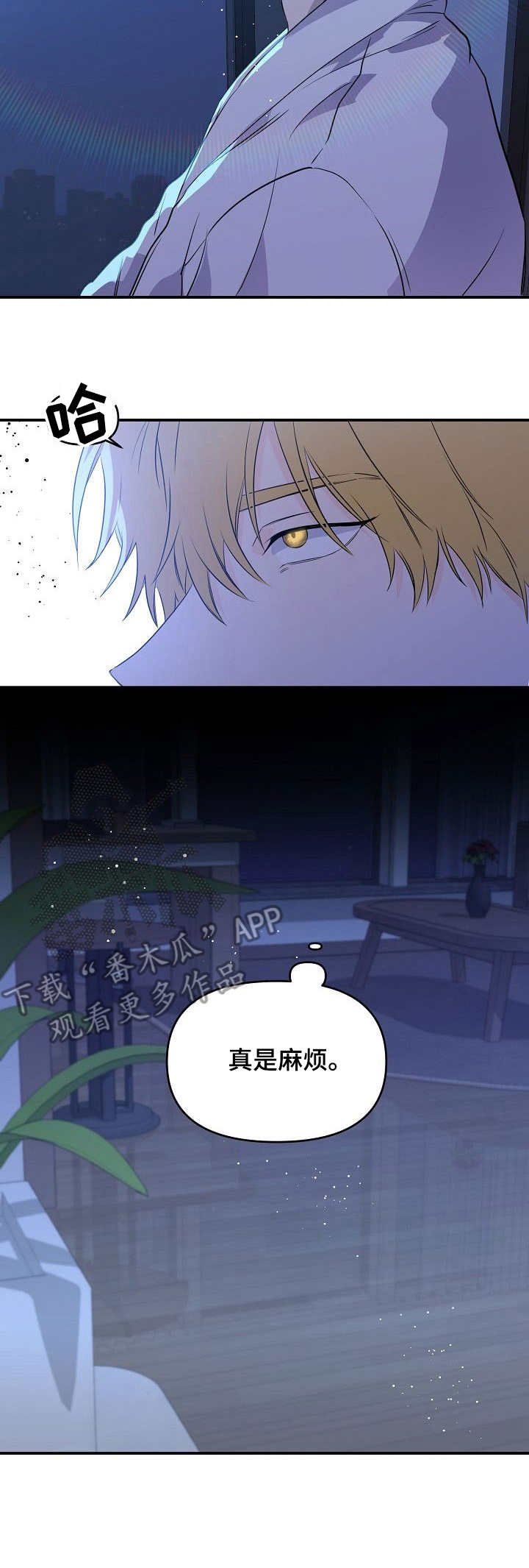 第9章：资料
