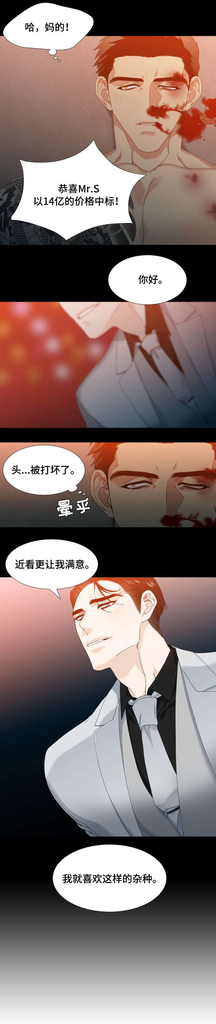 第1章：打手