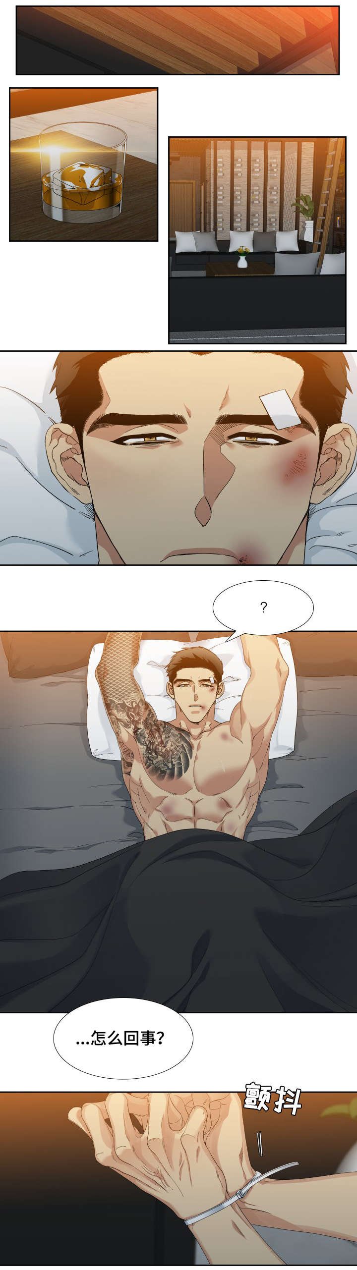 第1章：打手