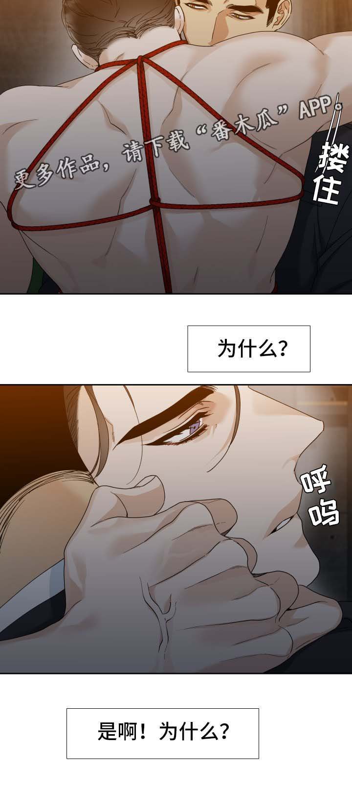 第20章：寄居蟹