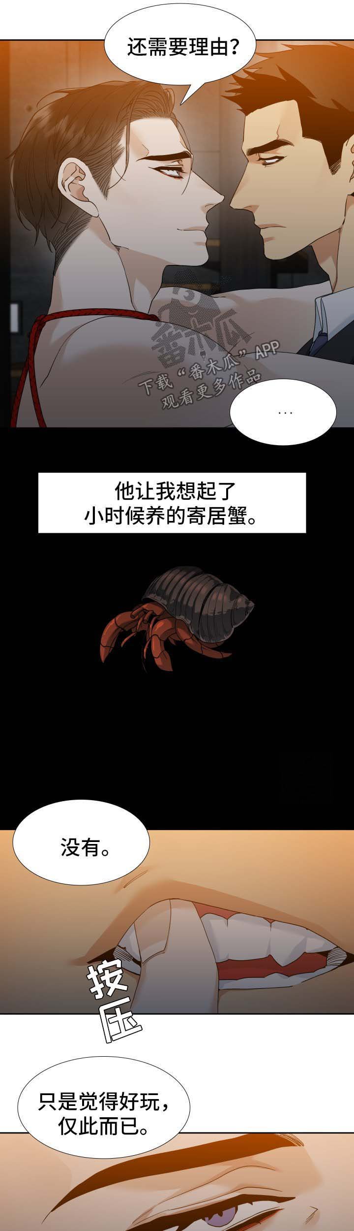 第20章：寄居蟹