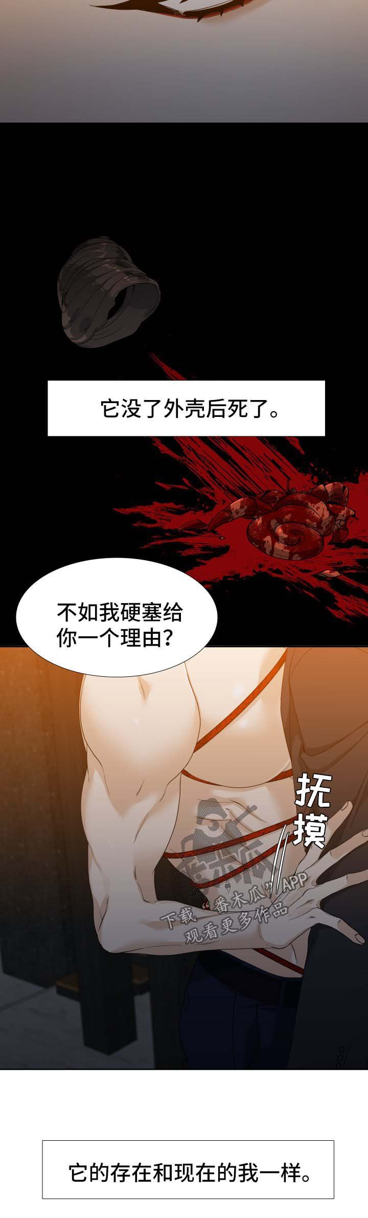 第20章：寄居蟹