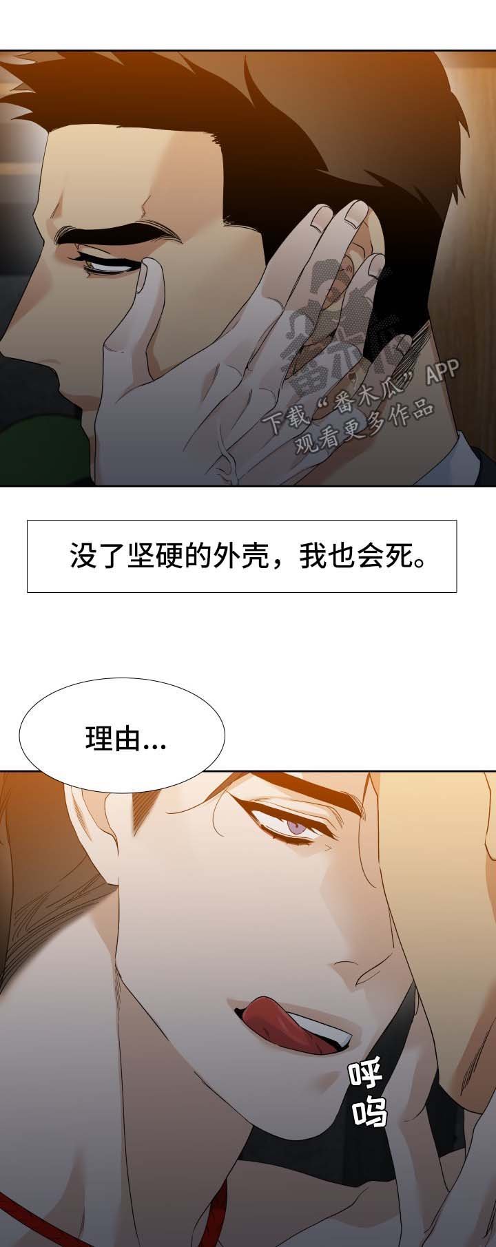第20章：寄居蟹
